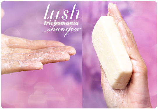 szampon do wlosow lush recenzja blogspot