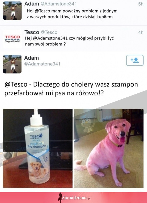 szampon dla psa tesco