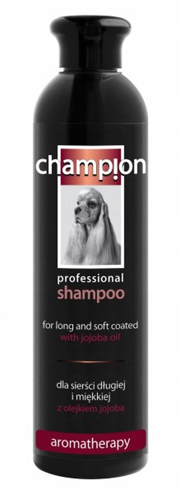 szampon champion allegro