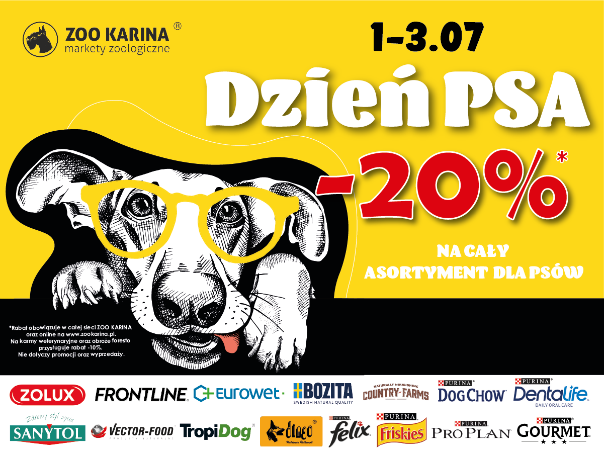 zoo karina pieluchy dla psa