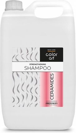 prosalon szampon odświeżający do włosów przetłuszczających się 1000 g opinie