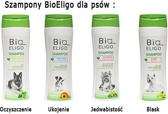 dr seidel szampon z chlorheksydyną ceneo