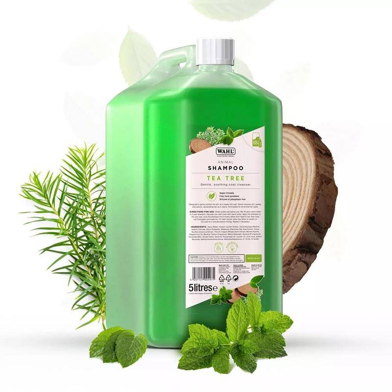 szampon z drzewa herbacianego histore