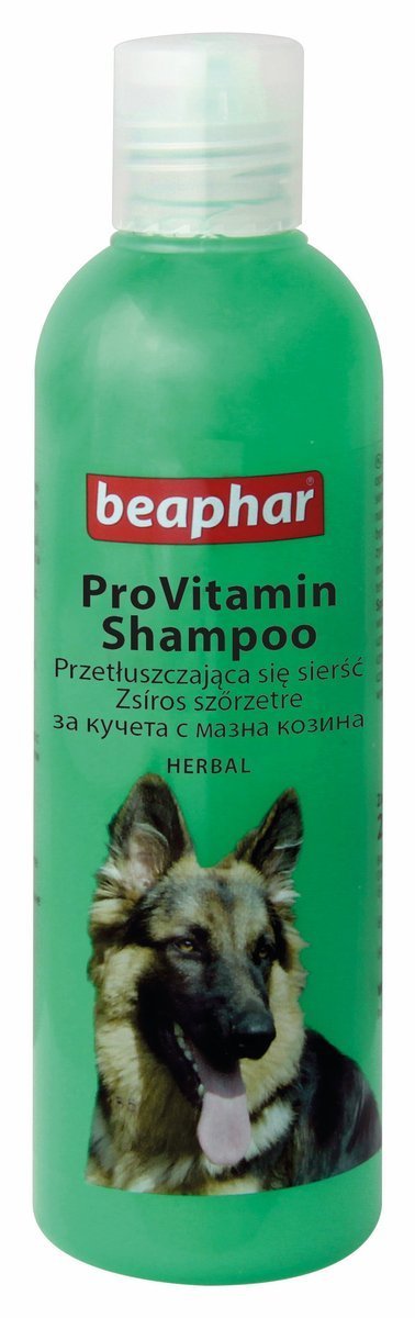 jaki szampon polecacie dla dogów niemieckich site forum.gazeta.pl