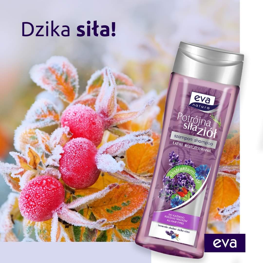 eva natura zioła polskie szampon lawenda