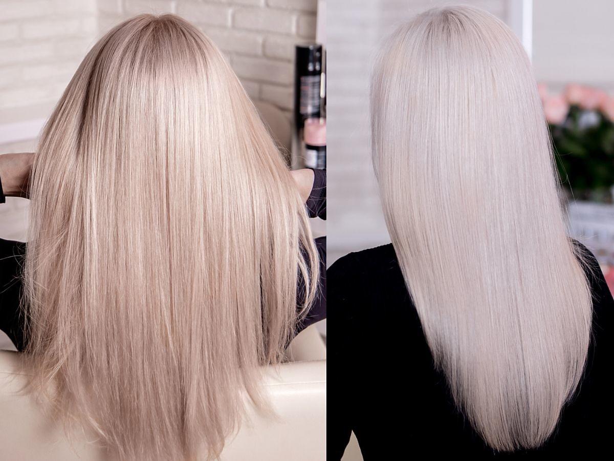 stapiz sleek line blond szampon do włosów blond efekty