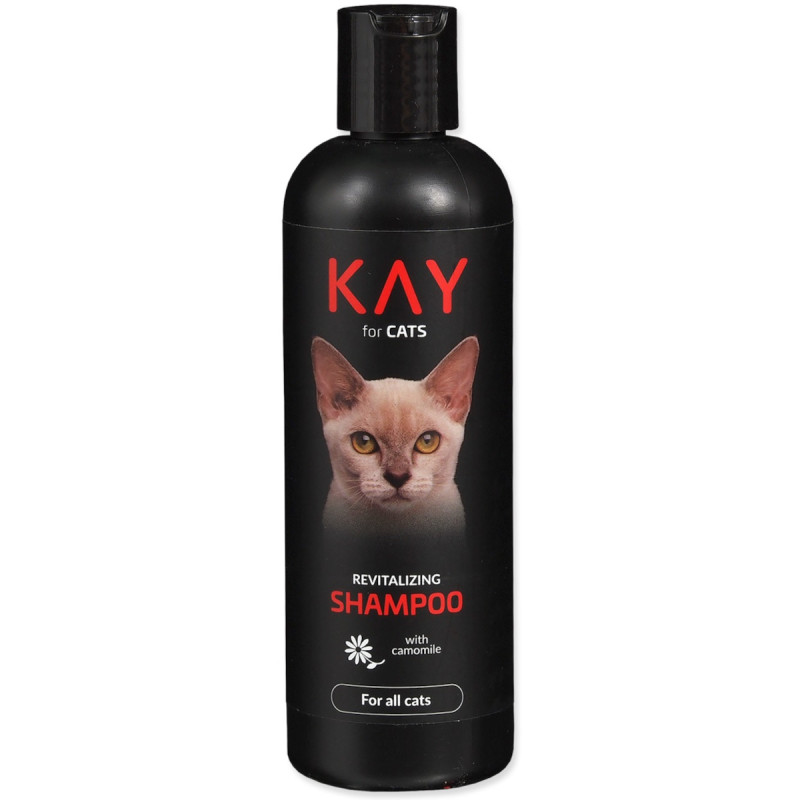 gdzie kupic szampon dla kota