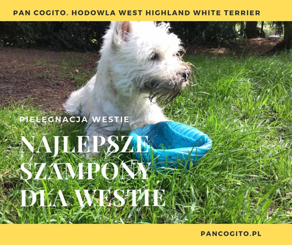 szampon dla west highland white terrier alliexpres