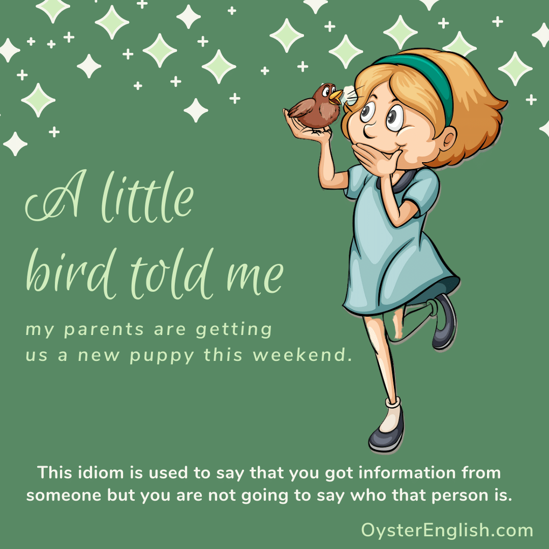 Little bird told me