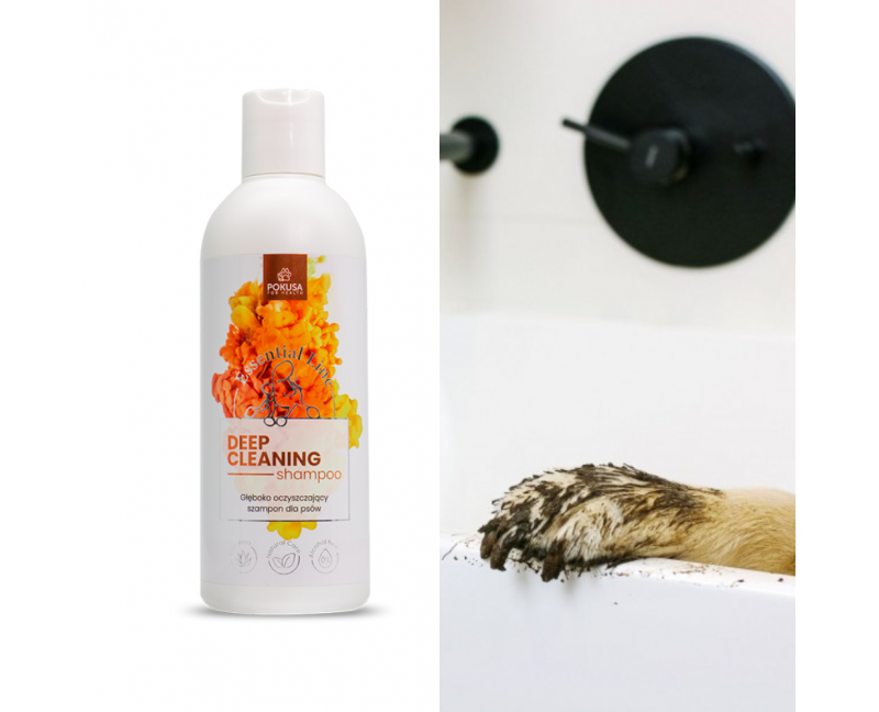 dlaczego szampon głęboko oczyszczający dla psa