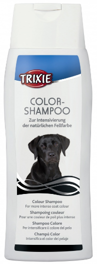 szampon koloryzujący dla psów