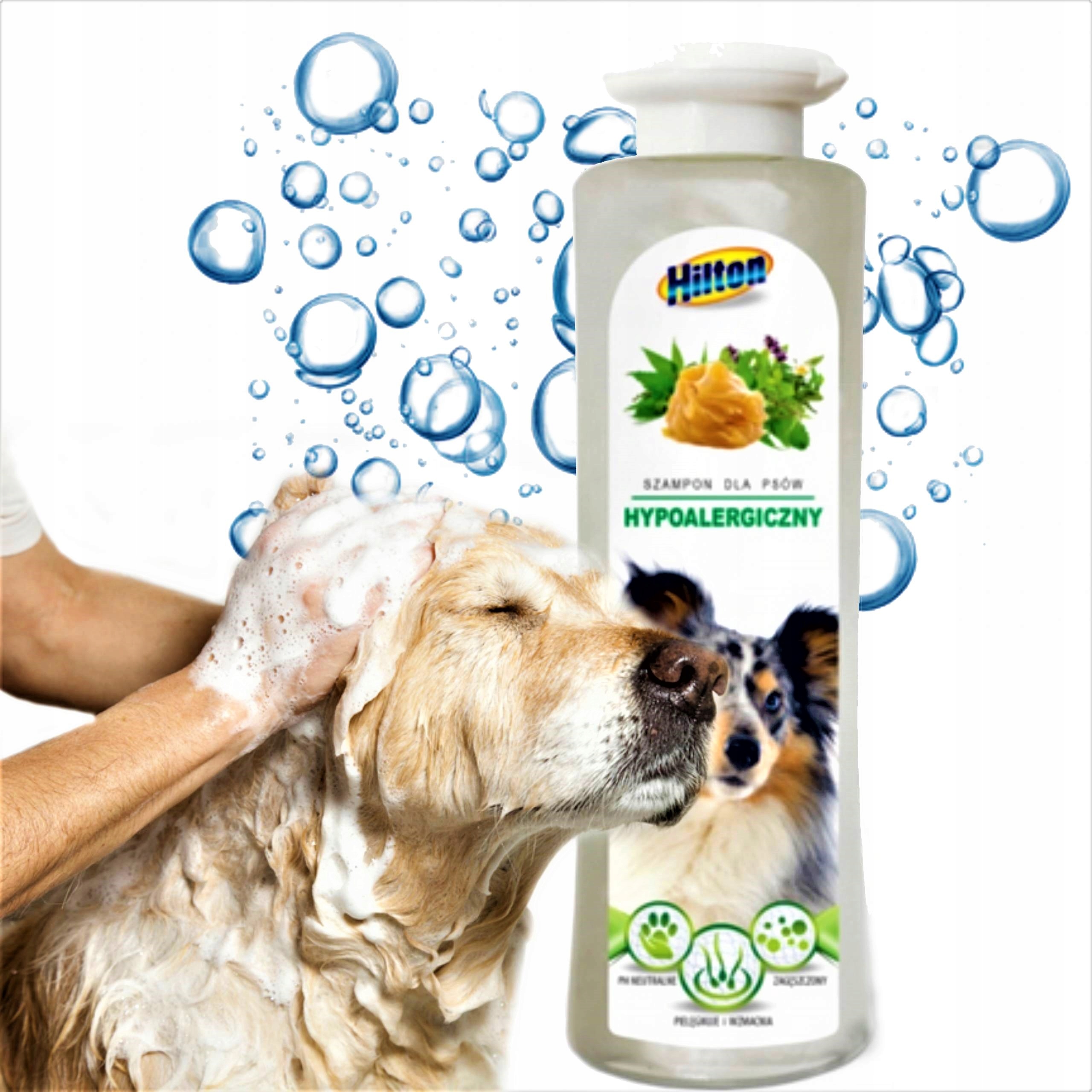 szampon hipoalergiczny dla psa hilton