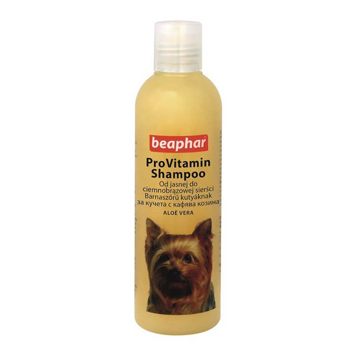 suchy szampon dla psa o białej sierści