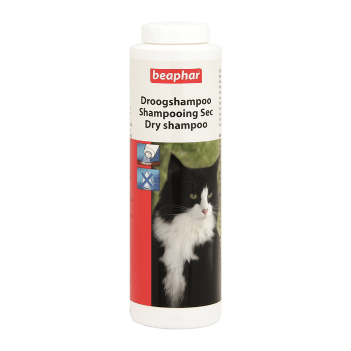 suchy szampon dla kota opinie