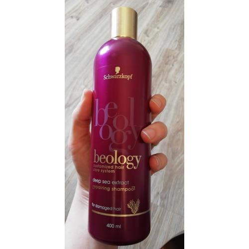 beology szampon wizaz