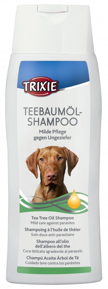 szampon dla labradora z olejkiem herbacianym