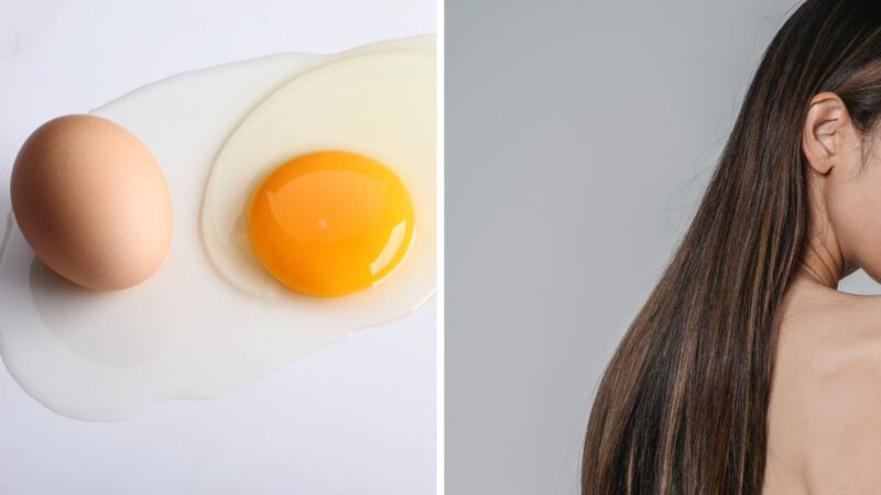 odżywka do włosów z jajka na włosy czyste