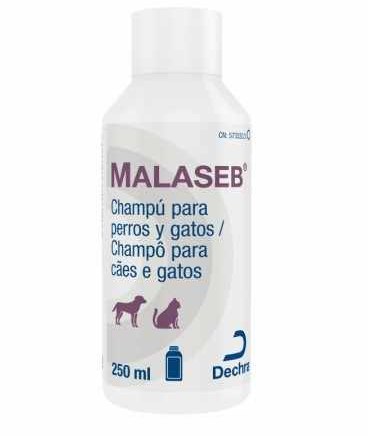 malaseb szampon dla psów i kotów