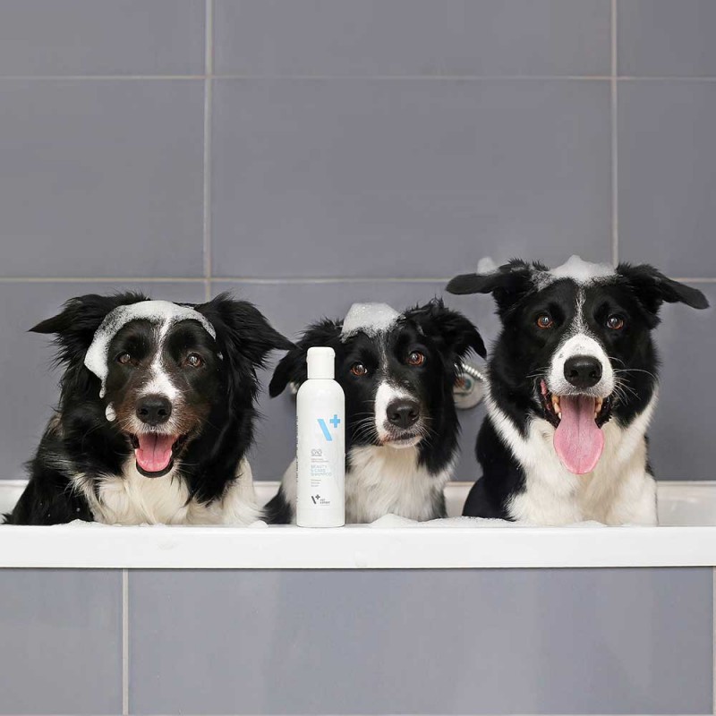 beauty care szampon dla psa