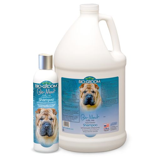 szampon leczniczy dla psow