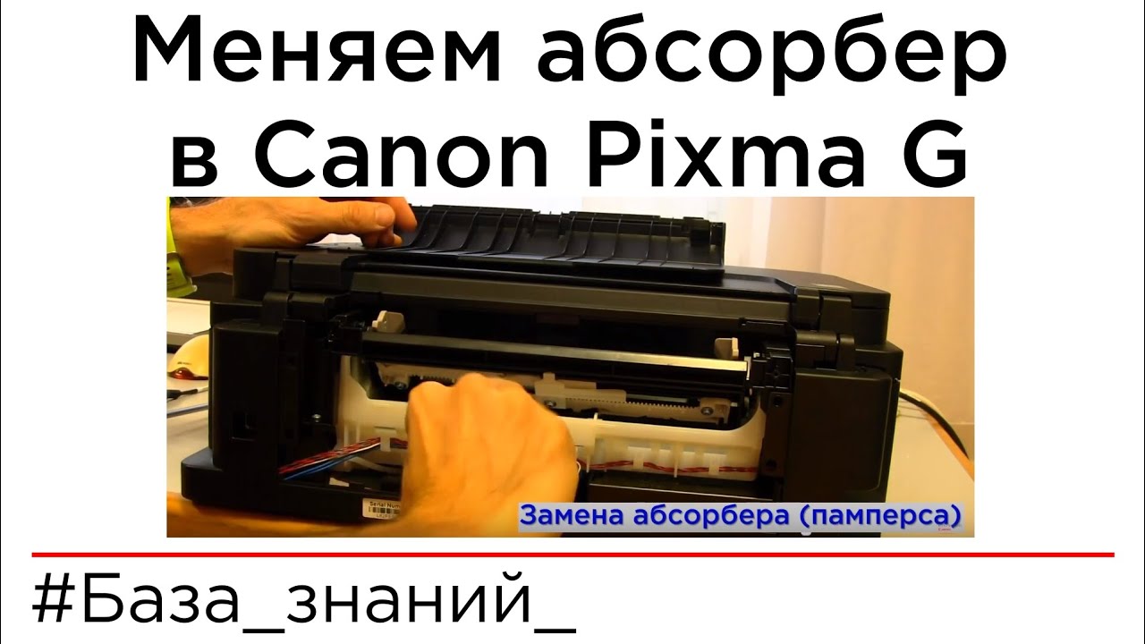 canon pampers youtube