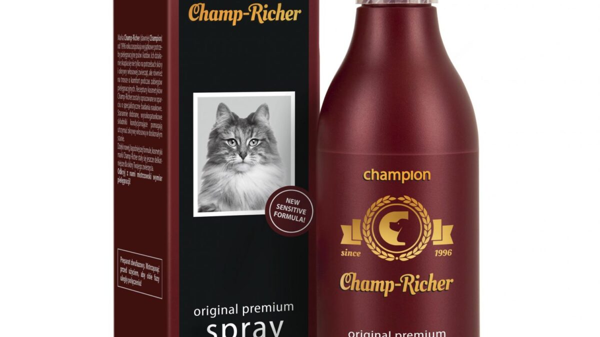 champion szampon dla kotów
