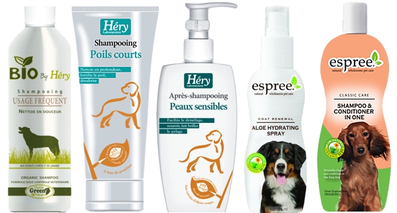 czym się różni szampon dla psa