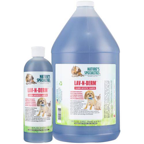szampon przeciwbakteryjny dla psa