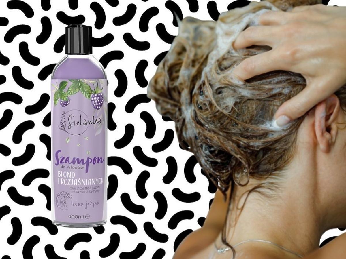 szampon do włosów rozjaśnianych forum