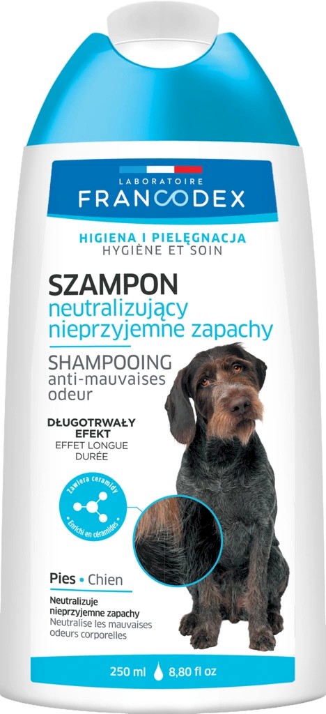 dobry szampon dla śmierdzącego psa