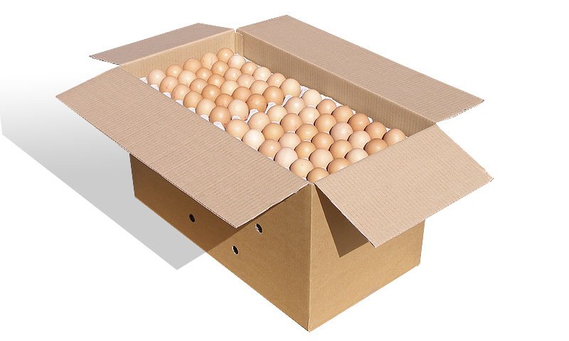JaBaDaBaDo W7118 Karton na jajka