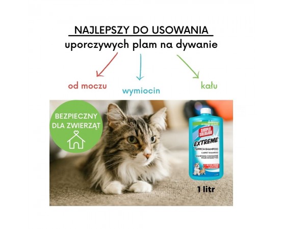 najlepszy szampon do dywanów