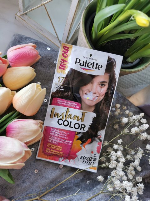 pallete instant color szampon koloryzujący nr 17 średni brąz