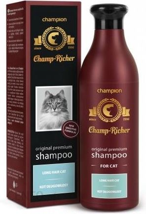 szampon champion dla kota