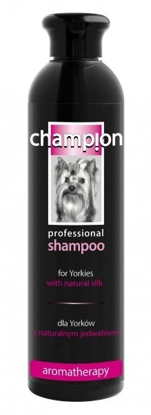szampon champion