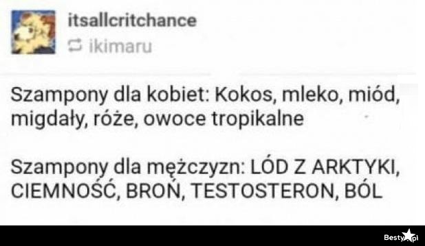 szampon dla mężczyzn vs kobiet