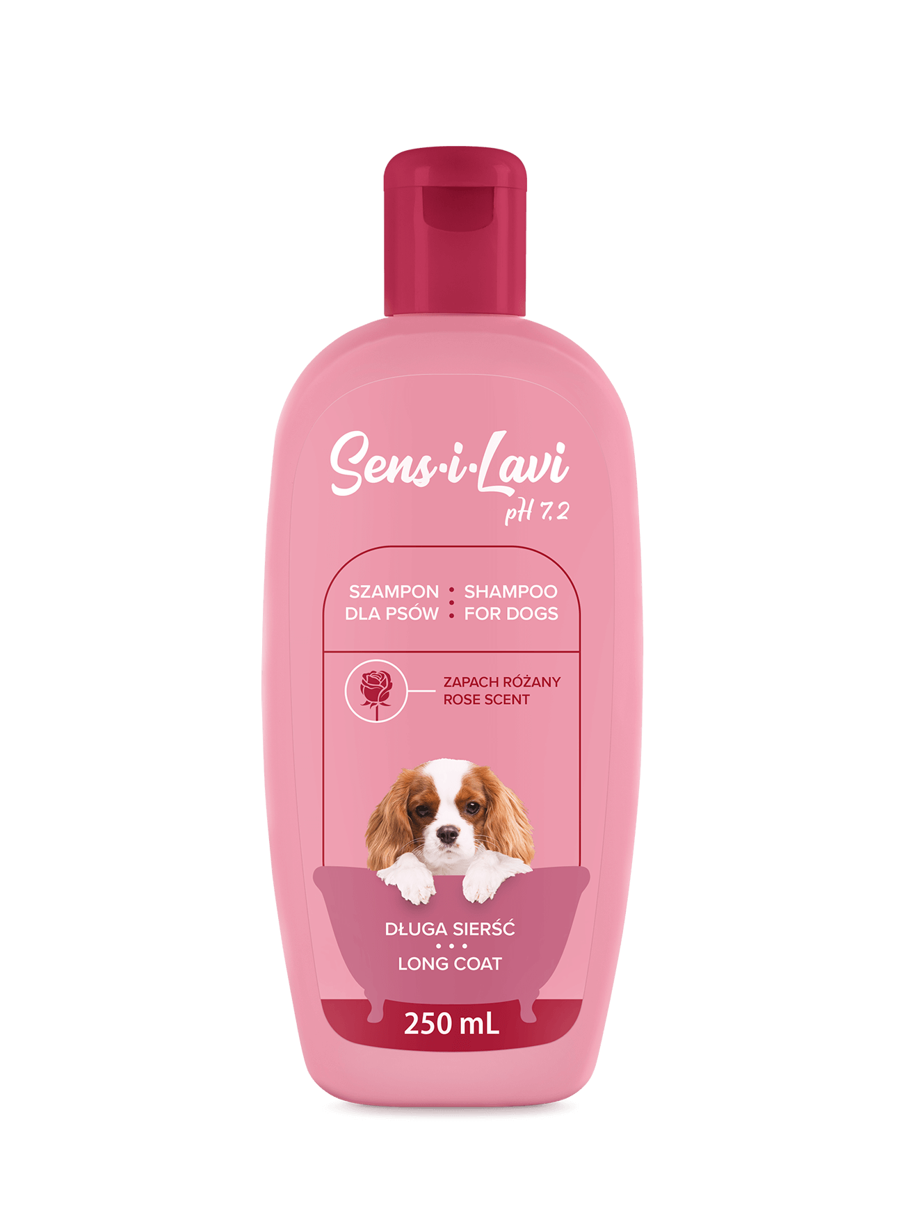 szampon dla psa lidl blog