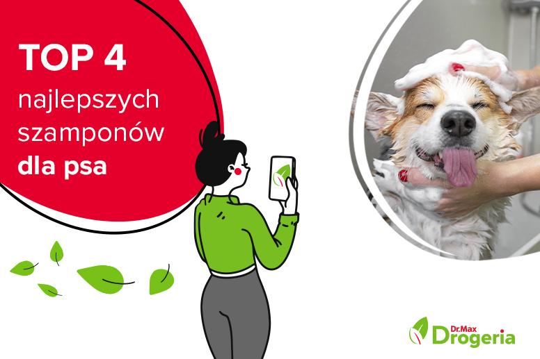 szampon dla psa lidl blog