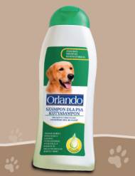 szampon dla psów lidla