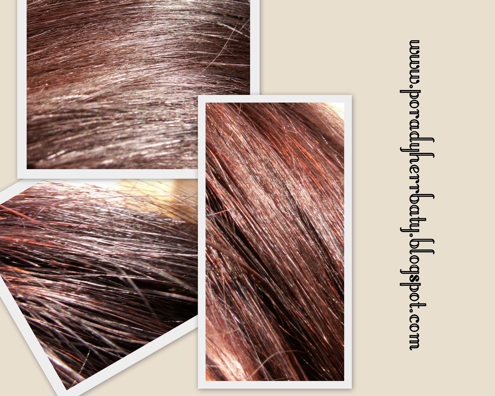 szampon john frieda brunette opinie