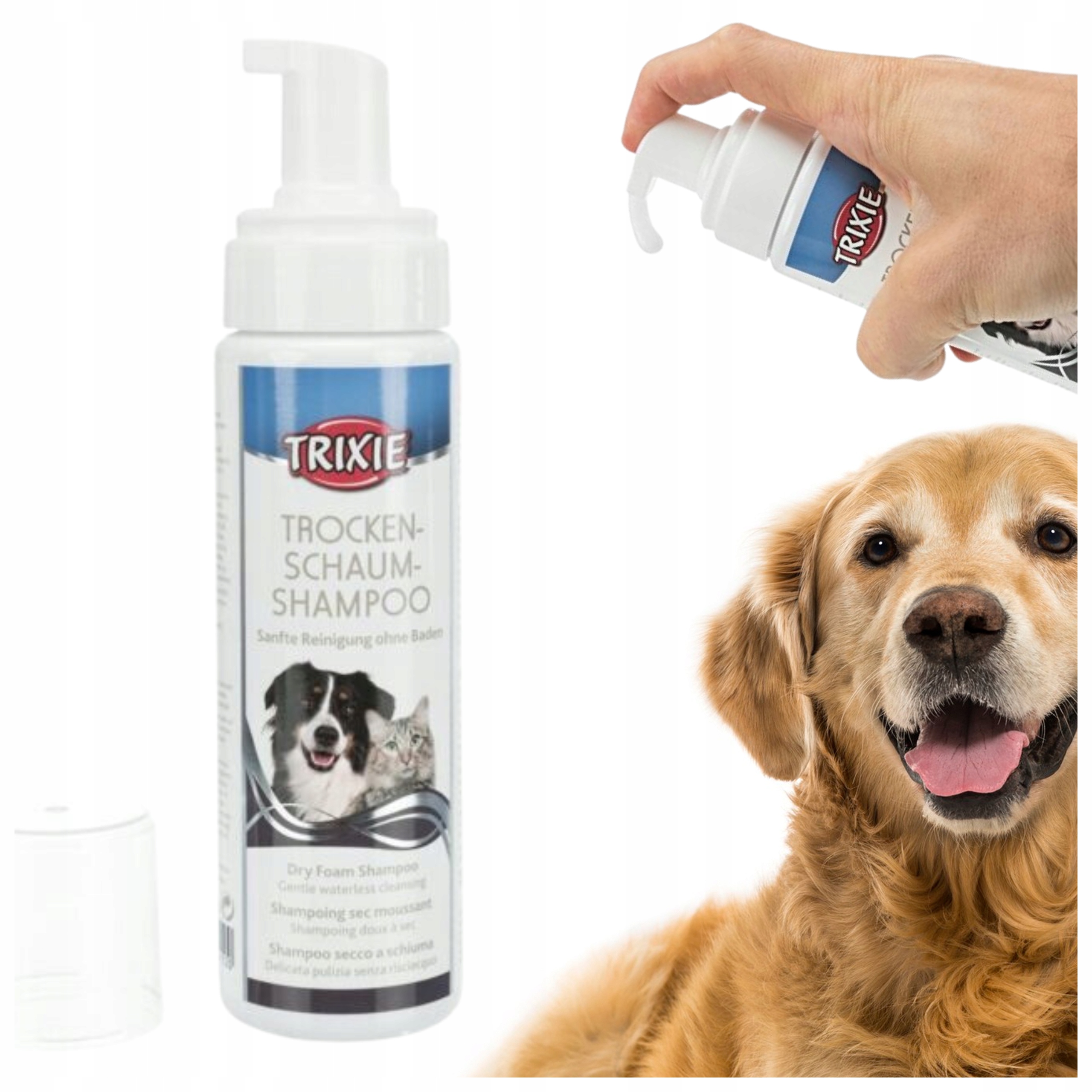 szampon na sucho dla psa