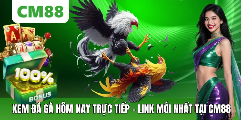 Xem Đá Gà Hôm Nay Trực Tiếp HD – Link Mới Nhất Tại CM88