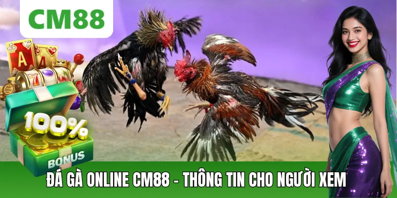Đá Gà Online CM88: Thông Tin Và Cách Theo Dõi Dễ Hiểu