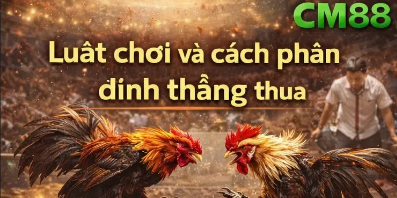 Luật chơi và cách phân định thắng thua