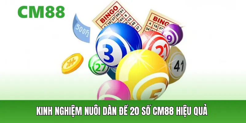 Kinh nghiệm nuôi dàn đề 20 số CM88 hiệu quả